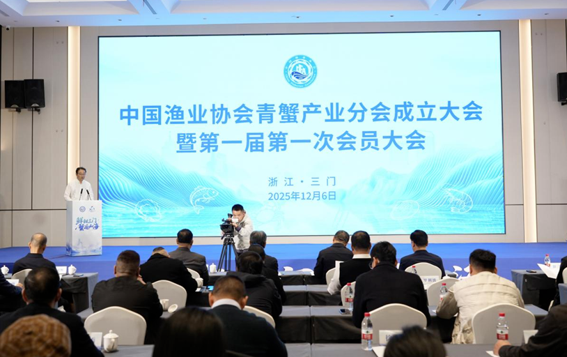 1765156374541847.png image.png